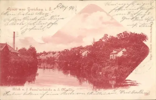Ak Zwickau in Sachsen, Blick von der Paradiesbrücke auf die Mulde