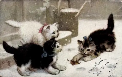 Künstler Ak Drei Katzen spielen im Schnee