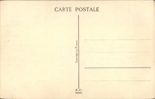 Ak Zwei junge Katzen schauen nach oben, Truhe