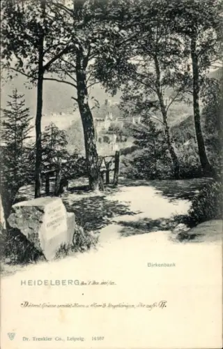 Ak Heidelberg am Neckar, Birkenbank,  Landschaft, Bäume, Schloss