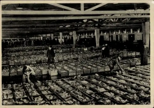 Ak Wesermünde Bremerhaven, Fischauktion, viele Fische, Menschen bei der Arbeit, Wesermünde