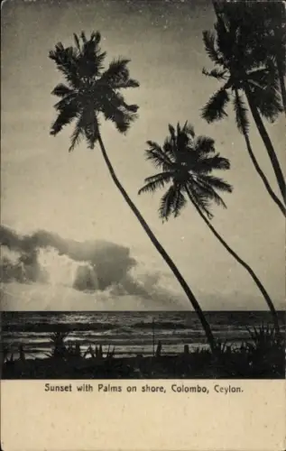 Ak Colombo Ceylon Sri Lanka, Sonnenuntergang, Palmen, Strand, Colombo, Ceylon