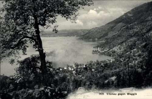 Ak Vitznau Kanton Luzern, Blick auf  Weggis, See, Berge