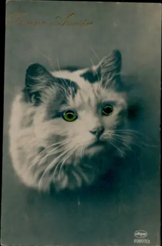 Ak Katze mit grünen Glasaugen