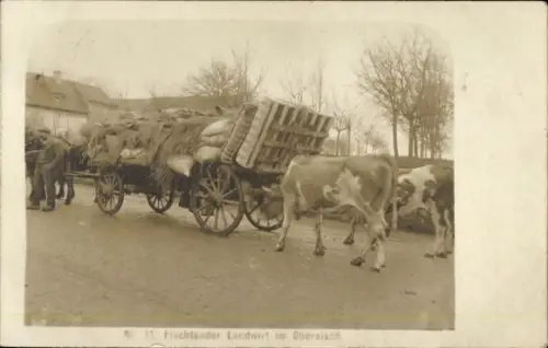 Ak Flüchtender Landwirt im Oberelsass, Fuhrwerk, Kühe, 1. WK