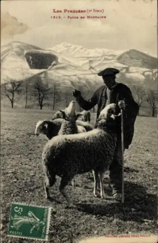 Ak Pyrenäen, Hirte, Schafe