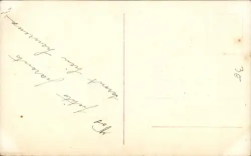 Ak Katze mit Schleife, Tierportrait