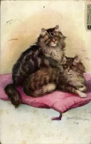 Künstler Ak Zwei Katzen, Tierportrait