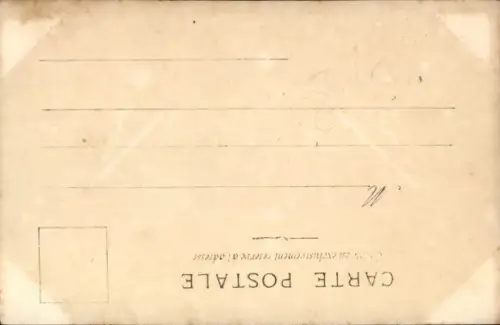 Ak Nackte Frau, Frauenakt, Bogen