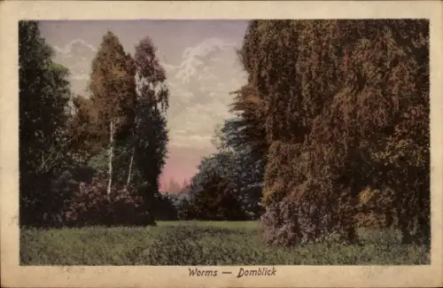 Ak Worms am Rhein, Landschaft mit Bäumen, Wiese, Himmel, Schriftzug Worms - Domblick