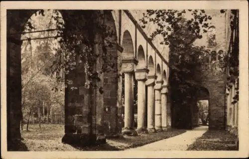 Ak Paulinzella Rottenbach Königsee in Thüringen, Säulen, Arkaden, Weg, Bäume, Schwarz-Weiß-Foto