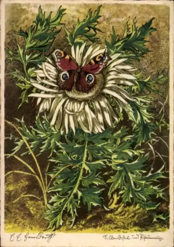 Künstler Ak Heinsdorff, E.E., Silberdiestel und Pfaunauge, Schmetterling