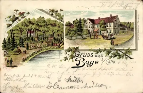 Litho Boye Celle in Niedersachsen, Gesamtansicht, Garten