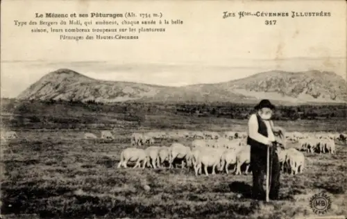 Ak Le Mézenc et ses Pâturages, Hirte, Schafherde