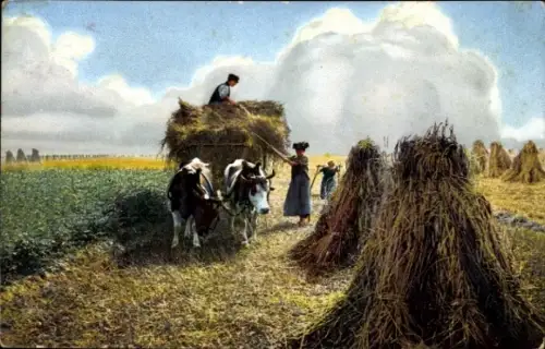 Ak Landwirtschaft, Heuernte, Bauern, Fuhrwerk