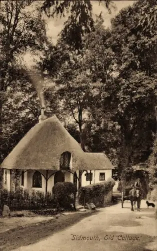 Ak Sidmouth Devon England, Altes Cottage, Pferd, Hund, Bäume, Sidmouth