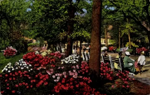 PC Savannah, Georgia, USA, Forsyth Park