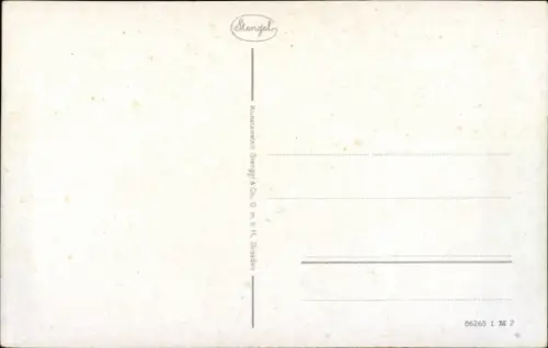 Ak Hansestadt Rostock, Vor dem Steintor, Straßenbahn