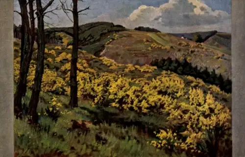 Künstler Ak Schäffer, H., Blühender Ginster