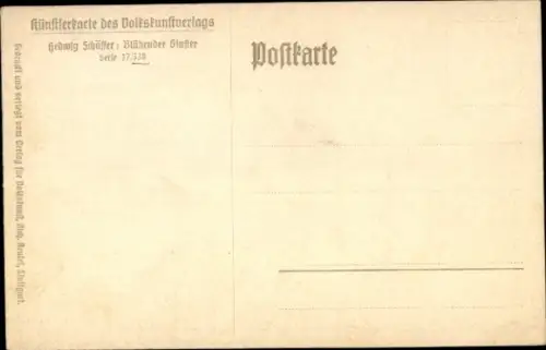 Künstler Ak Schäffer, H., Blühender Ginster