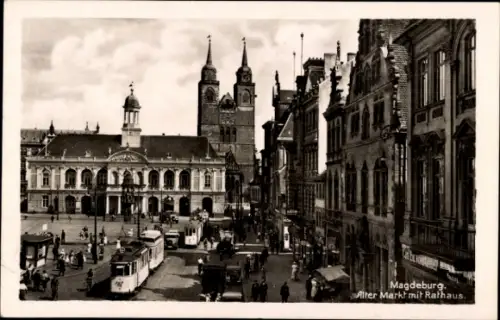 Ak Magdeburg an der Elbe, Alter Markt mit Rathaus, Straßenbahnen