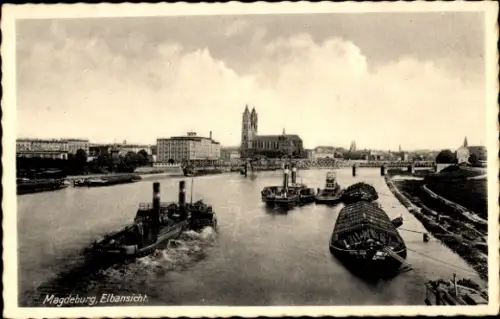Ak Magdeburg an der Elbe, Elbe, Panorama