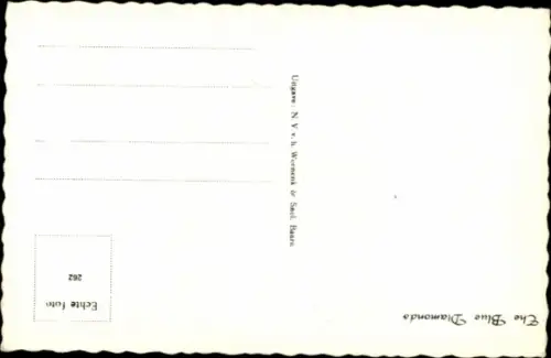 Ak Musiker The Blue Diamonds, Elektro Gitarren