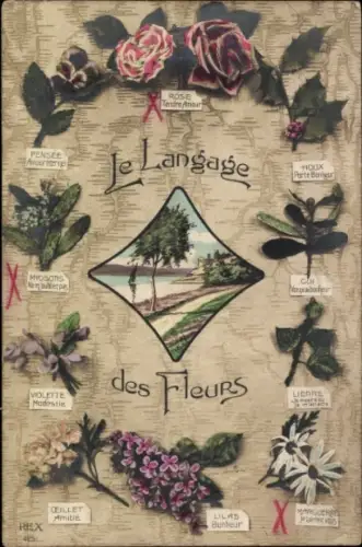 CPA Le Langage des Fleurs, Rose, Houx, Molette