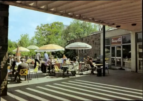 Ak Berlin Lichtenberg Friedrichsfelde, HO Gaststätten Tierpark, Terrassen der Flamingo Bar