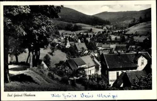 Ak Bad Grund im Harz, Panorama