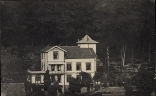 Ak Bad Grund im Harz, Waldhaus