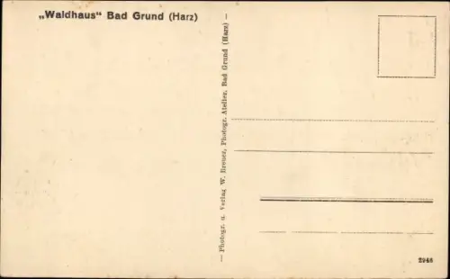 Ak Bad Grund im Harz, Waldhaus