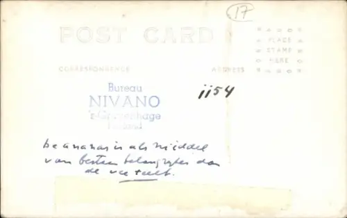 Foto Ak Ananas, Frucht, Palmen, Kuh