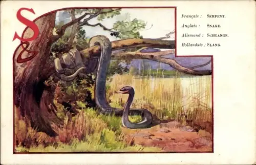 Jugendstil Buchstaben Künstler Ak Titz, Louis, S, Schlange