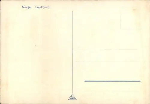 Ak Eidfjord Norwegen, Berglandschaft, See, zwei Häuser, Flagge