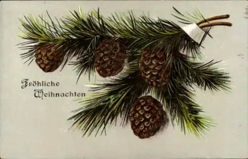 Ak Frohe Weihnachten, Tannenzweig, Tannenzapfen