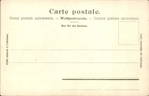 Ak Zürich, Der See aus der Vogelschau, Landesmuseum