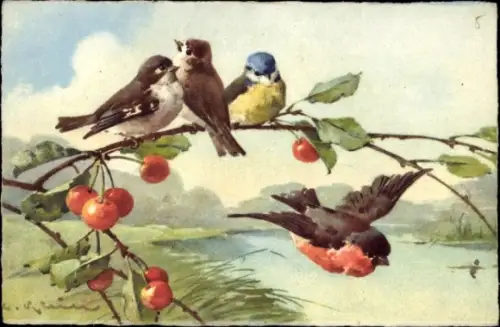 Künstler Ak Klein, Catharina, Singvögel auf einem Kirschzweig, Meise, Rotkehlchen