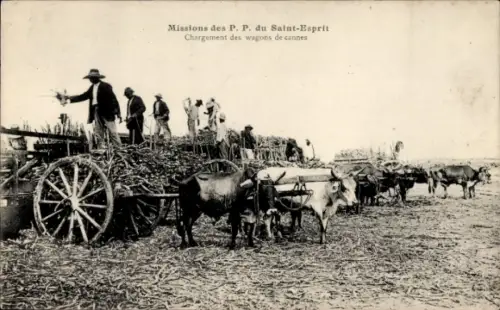 CPA Missions des P. P. du Saint-Esprit, Chargement des wagons de cannes