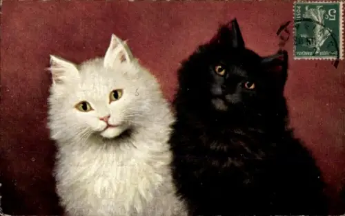 Ak Schwarze und weiße Katzen, Gemaltes Tierporträt