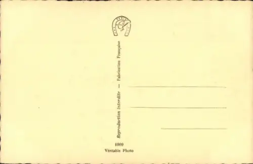 Ak Zwei junge Katzen, Kätzchen