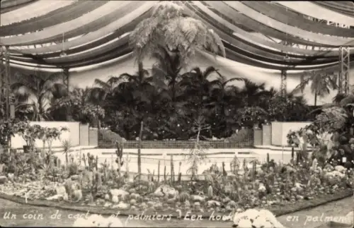 CPA Floralies Gantoises 1933, Un coin de palmiers