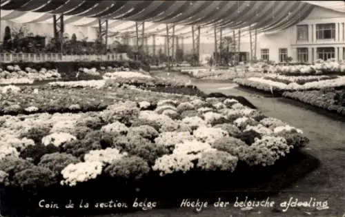 CPA Floralies Gantoises 1933, Coin de la section belge