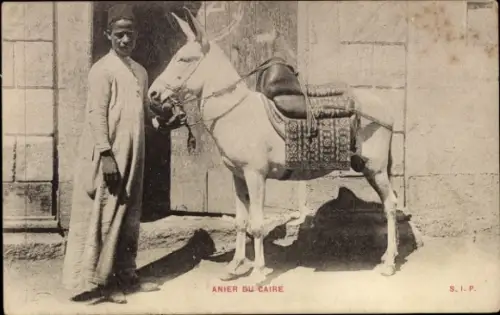 CPA Caire Égypte, Mann mit Esel