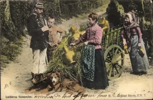 Ak Belgien, Laitières flamande, Hundekarren