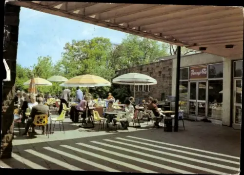 Ak Berlin Lichtenberg Friedrichsfelde, HO Gaststätten Tierpark, Terrassen der Flamingo Bar