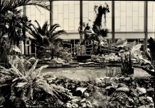 Ak Berlin Lichtenberg Friedrichsfelde, Tierpark Berlin, Tropenhalle im Alfred Brehm Haus