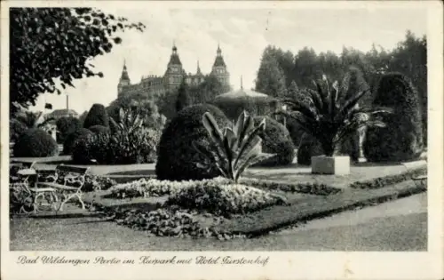 Ak Bad Wildungen in Hessen, Kurpark, Hotel Türstenhof, Gartenlandschaft, Pflanzen, Sitzgelegenhei