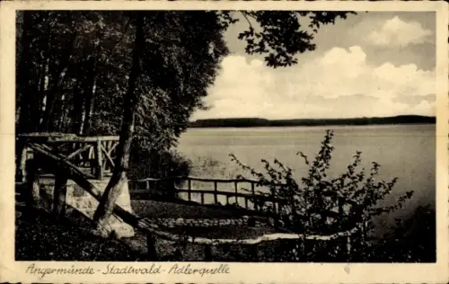 Ak Angermünde in der Uckermark,  Stadtwald, Adlerquelle, See, Bäume, Holzgeländer