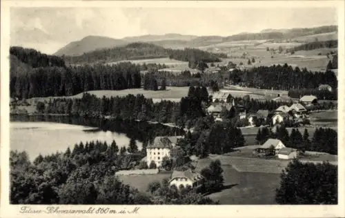 Ak Titisee Neustadt im Breisgau Hochschwarzwald, Landschaft mit See, Wäldern, Häusern, Titisee-Sc